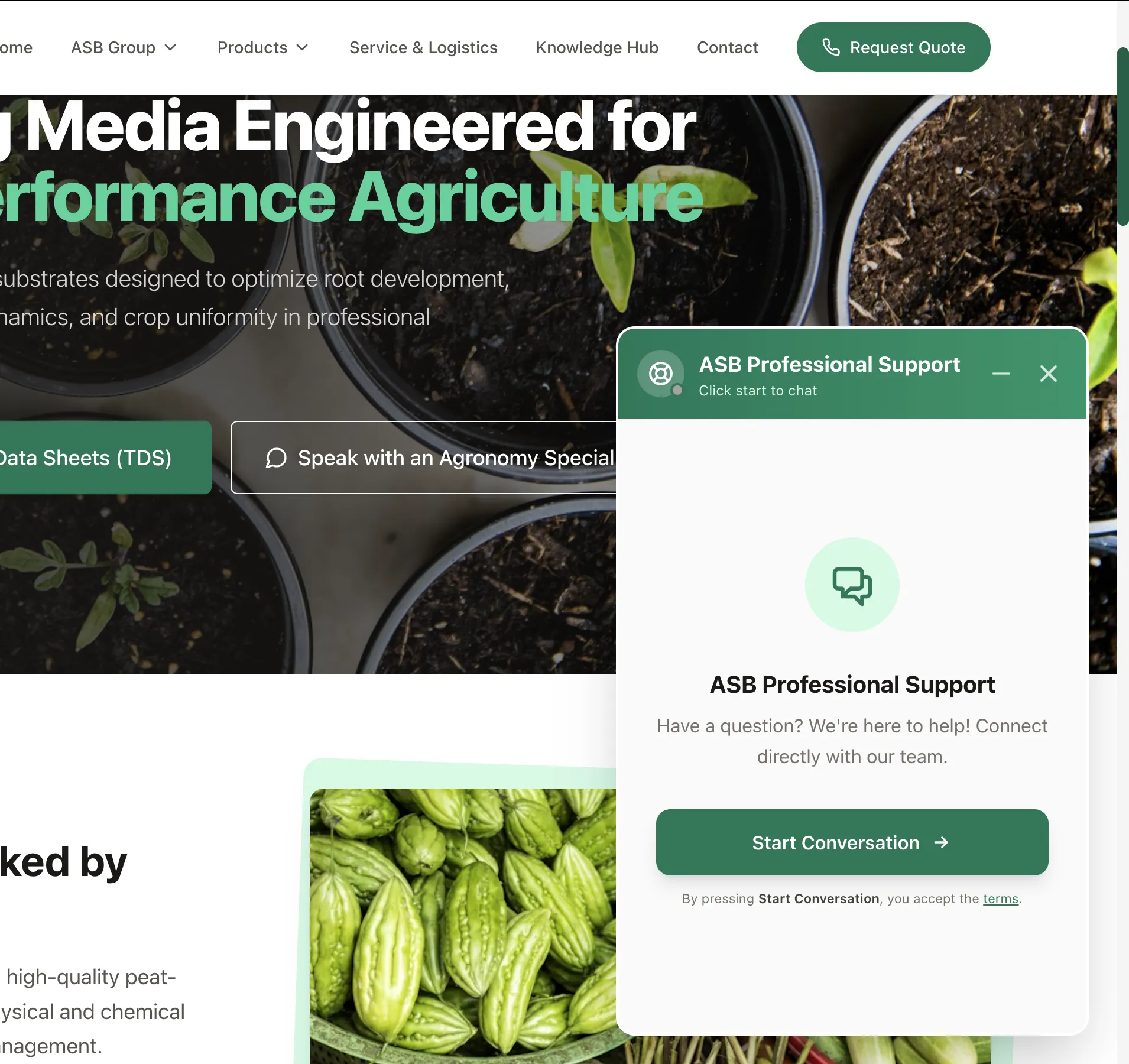 ASB Live Chat — AI chat interface screenshot (2025)